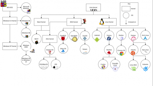 Os family tree.png