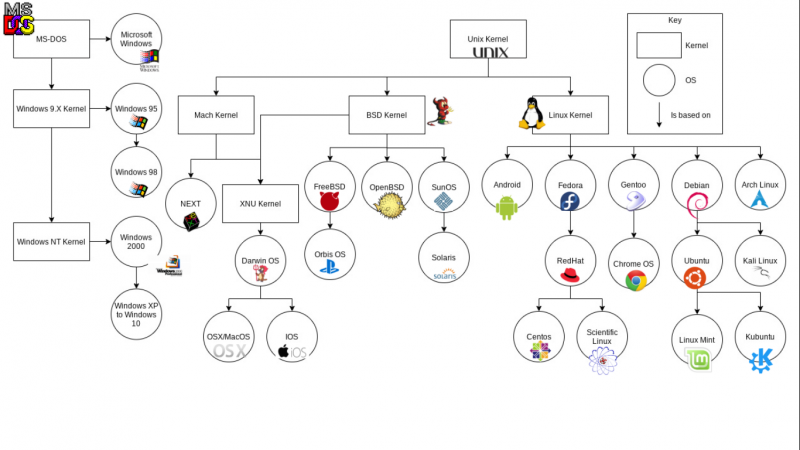 File:Os family tree.png